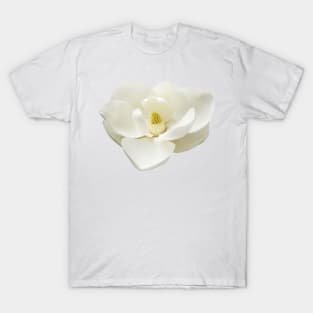 WHITE MAGNOLIA T-Shirt